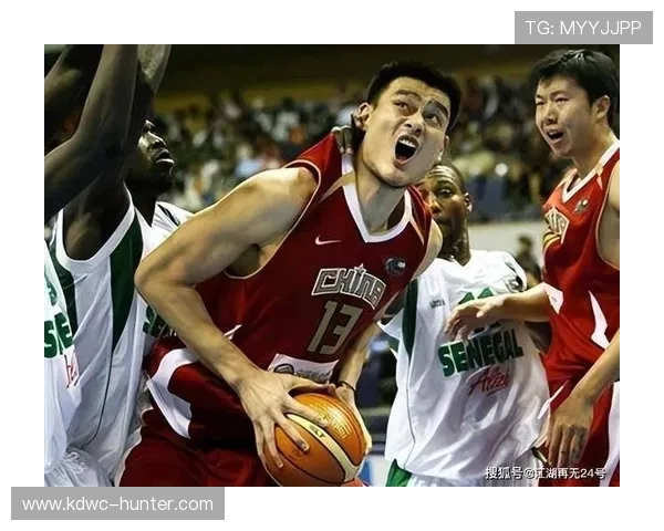 深圳篮球队在奥运会上的团队协作表现评析与启示